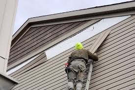 Best Aluminum Siding Installation  in Forest View, IL